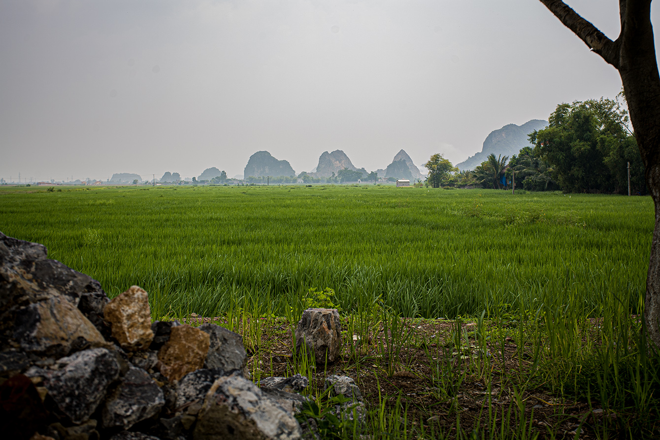 Hanoi   Tam Coc Bich Dong   018